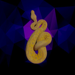 Okay Snake