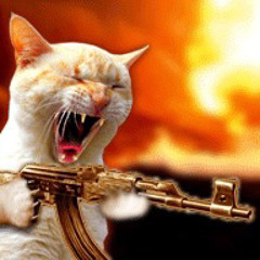 wawr_cat499611