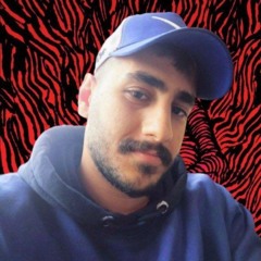 Amir Ali