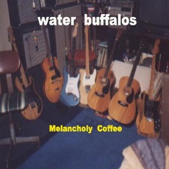 Water Buffalos/friday Night gathering