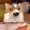 lookingforsomething?