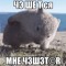 мьортвый зомби