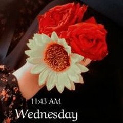 زهره العمر