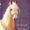 hanan.eee