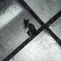 blkovt