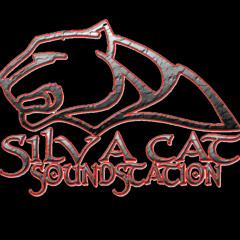 SILVA CAT SOUNDSTATION