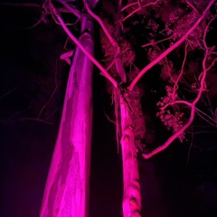 HEarlingSoundcHANGeDEtectoR