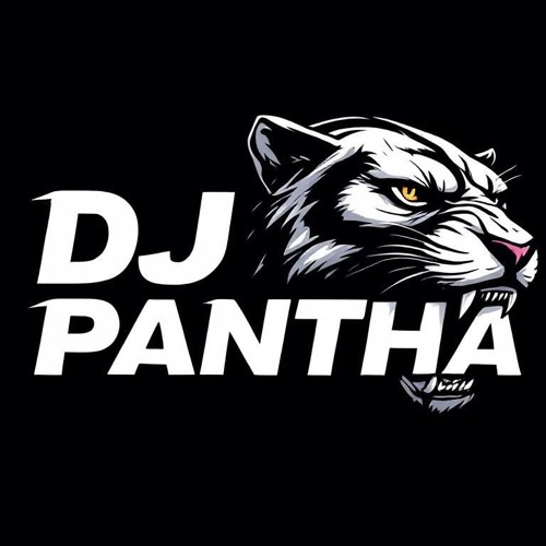 DJ Pantha — artist photo