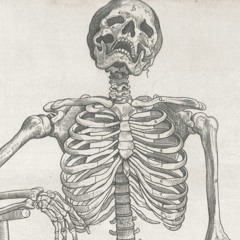 Bones Langston