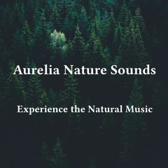 Tokyo Urban Ambience Sample  (20)