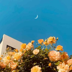 이준석