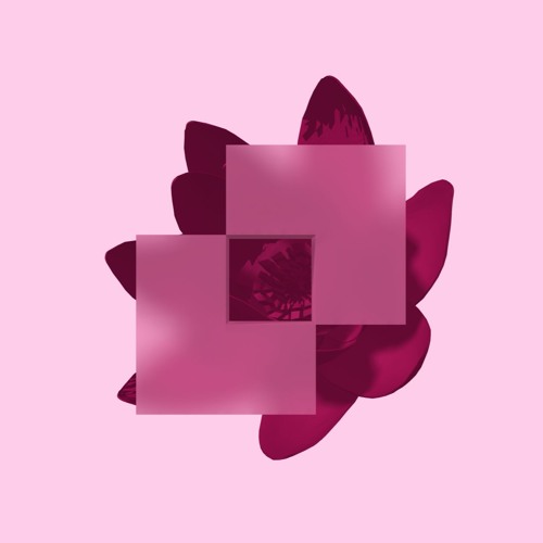 Second Flower’s avatar