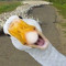 ksusheyy