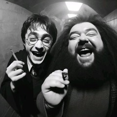 Александр Минаков