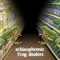 schizophrenic frog dealers