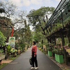 Mai Nguyễn Diễm Hồng