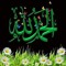 بهاء حمدي