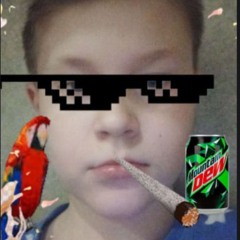 ГрОмила Z 1488ЯЙЦЕ-GGGЛОТ