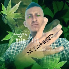 Mr.Lil FLAKO 2.0.2.2