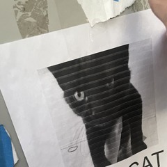 akakorn