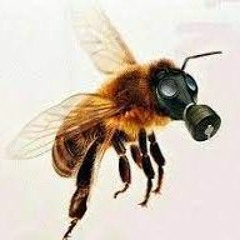 Toxic Bee