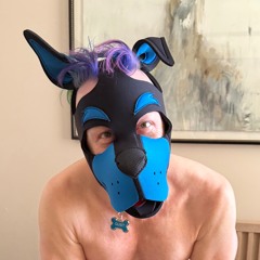 Pup qubit