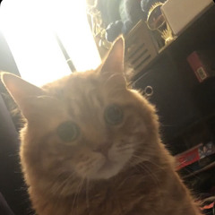 Qt