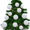 christmas cactus