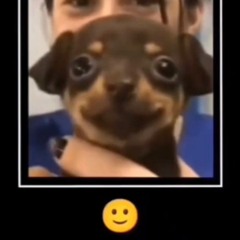 🙂