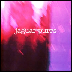 Jaguar Purrs