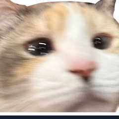 fuck it shit happens