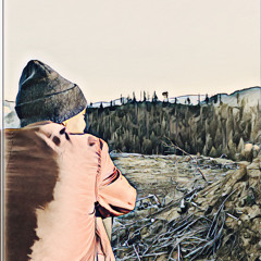 Gemini (AIM) AIRROW INSANE MINDS