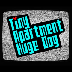 Tiny Apartment Huge Dog