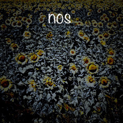 nos