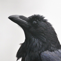 Terrence