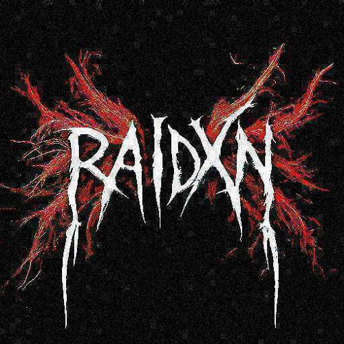RAIDXN’s avatar