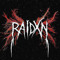 RAIDXN