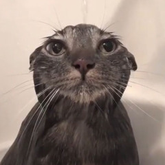 <@3