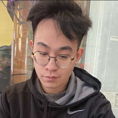 Tran Long Vu