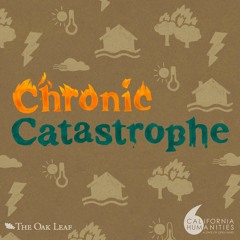 Chronic Catastrophe