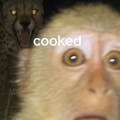 WoooStankAzz