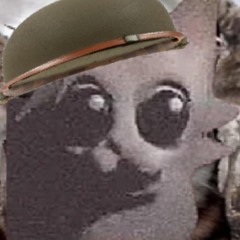 Nachoxlei1
