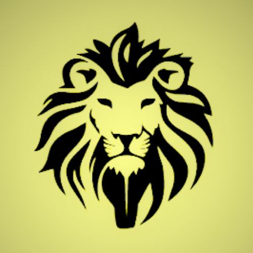 DVS Lion’s avatar