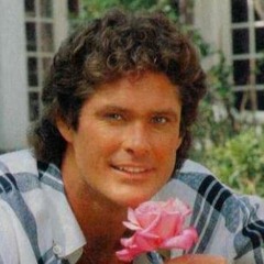 fettsackschmierfinger