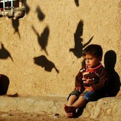 Manar Safwat