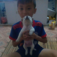 Phúc Nam Bàn