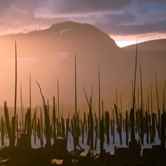 André Bryce Pelletier