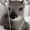 ma biche