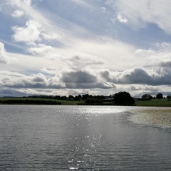 findlay