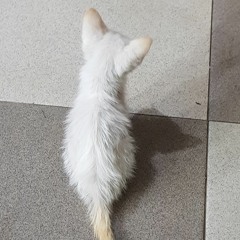 Nguyễn Đũngecrcrcrvtv